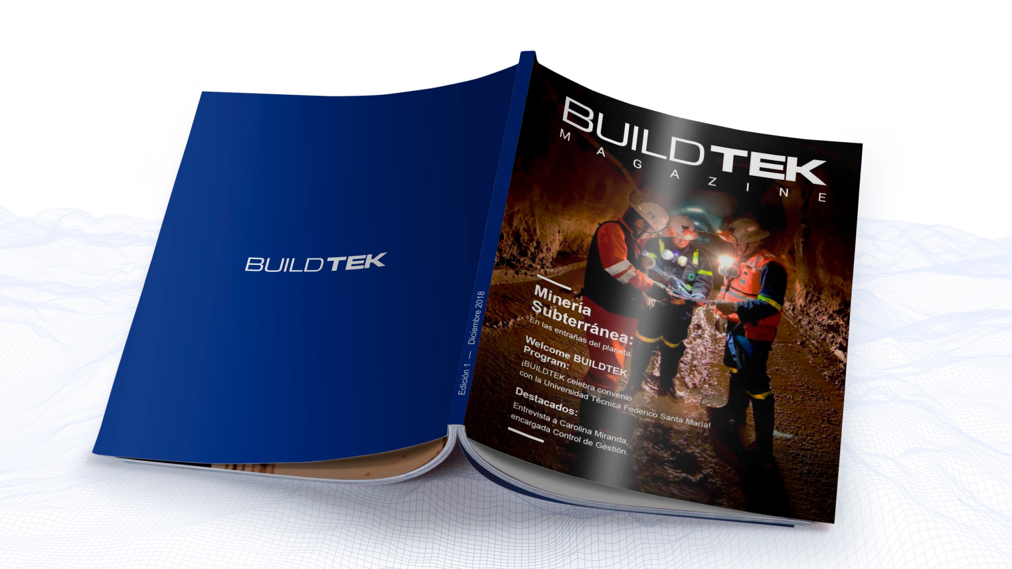 Buildtek - Freaktools Agencia Digital, Empresa de Diseño y Marketing